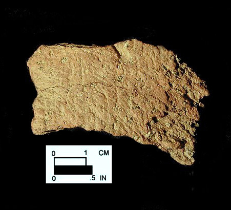 Dames Quarter cord-marked body sherd from a Maryland unprovenienced site.